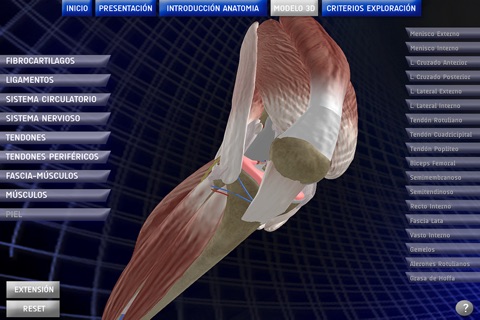 Anatomy Knee screenshot 3