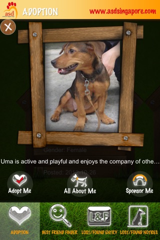 Action for Singapore Dogs screenshot 2