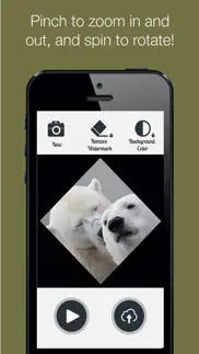 square shape - crop photo & video to size and share for instagram iphone screenshot 2