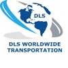 Dominick's Limousine & DLS Worldwide