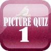 Pizture Quiz 1