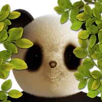 Baby Recognition-Peek-A-Boo(for free) pour PC