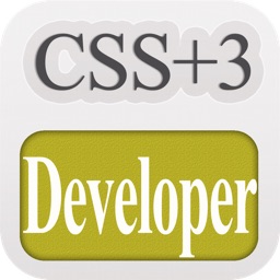 CSS Developer