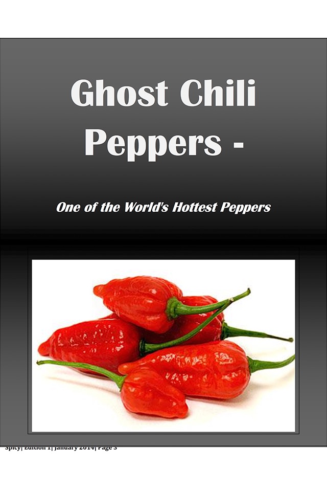 All About Spicy Food: Spicy Magazine screenshot 3
