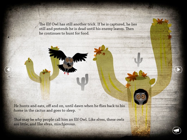 About Owls(圖3)-速報App