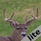 Pro Deer Calls lite is a collection of the most effective Deer calls & sounds on iTunes