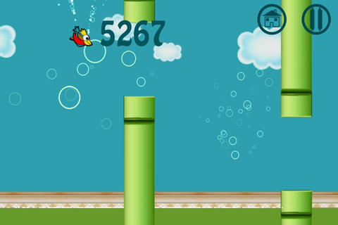 Buddy Bird screenshot 2