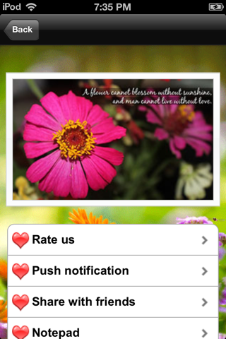 Flower Photo Frames Deluxe screenshot 3