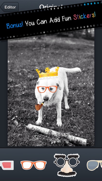 After Awesome Free : All-In-1 Photo Editor Including Focus, Enhance, Effect.s And More!