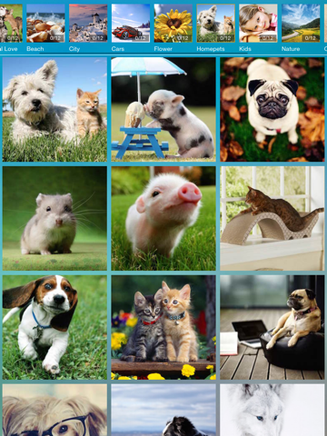 Screenshot #5 pour Swap me! - Free animal jigsaw puzzle