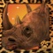 Adopt and care for one of the most endangered animals on earth with the Virtual Pet Rhinoceros