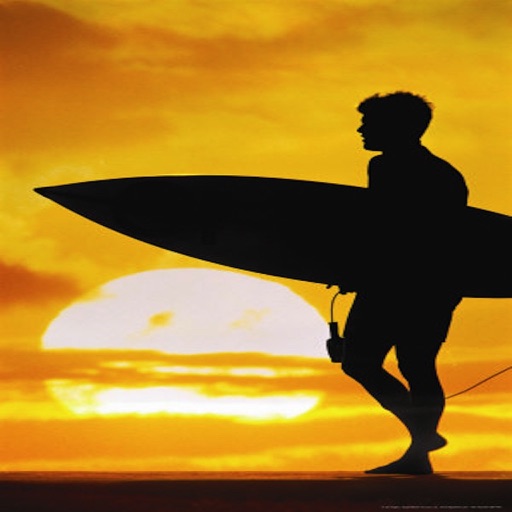 Surfing Survival!! iOS App
