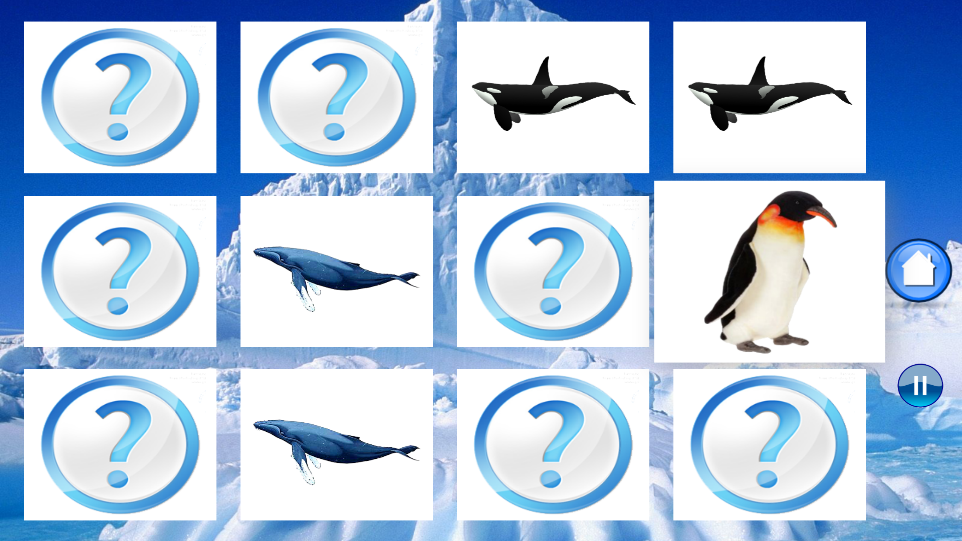 Animals Antarctica screenshot 12