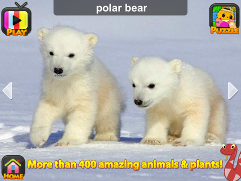 ABC SAFARI Animals & Plants - Video, Picture, Word, Puzzle for Kids iPad screenshot 3 - Education app