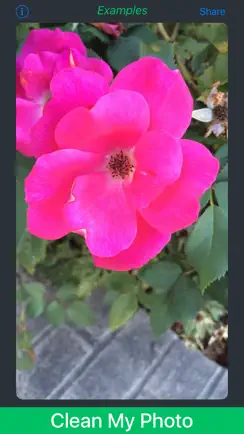 Caption Remover for Snapchat* iPhone image 2