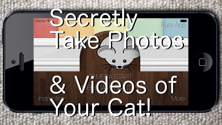 Say Cheese! Games for Cats