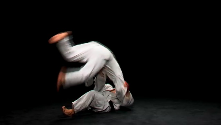 JU-JITSU - Efficiency by the movement