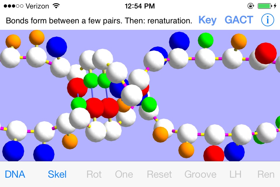 OnScreen DNA Model for iPhone screenshot 2