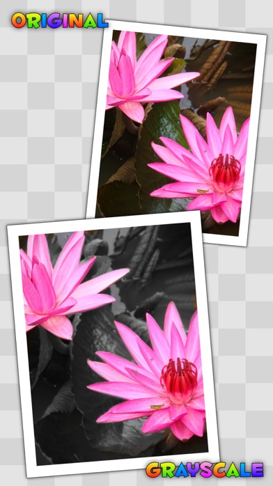 Screenshot #3 pour Photo Splat Free