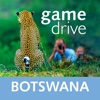 Game Drive Botswana - A Safari Guide to the Animals of Okavango and Chobe