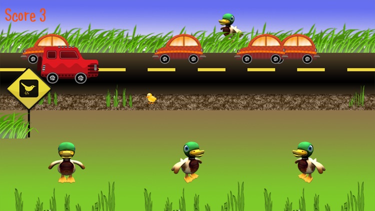 Duck Crossing