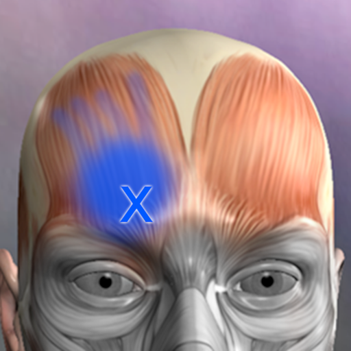 Muscle Trigger Point Anatomy icon