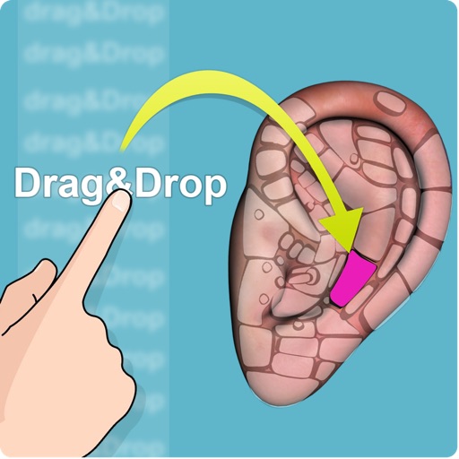 Drag&Drop Reflexology (ears) icon