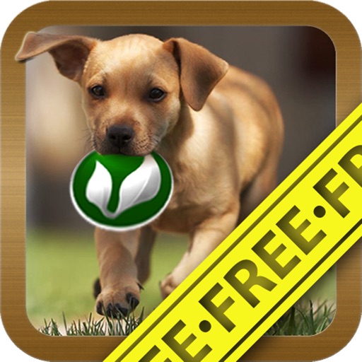 Dog ■ mini-games (FREE) icon