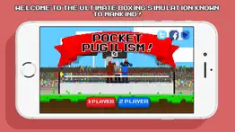 pocket pugilism - physics based boxing problems & solutions and troubleshooting guide - 4