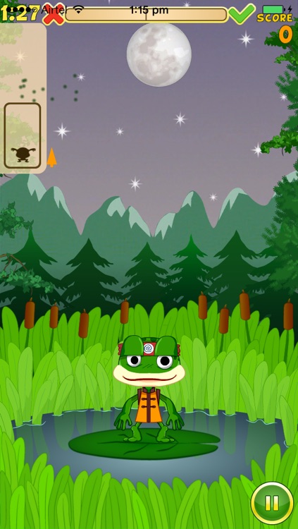 Frog Fu Pro