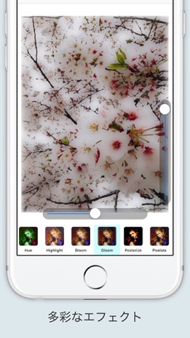 Filter - 写真にフィルタをかけシェアする最もシンプルな無料アプリのおすすめ画像4