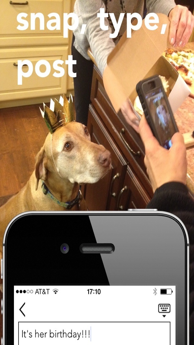 the dog stories screenshot