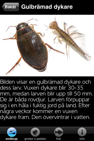Liv i dammen screenshot 2