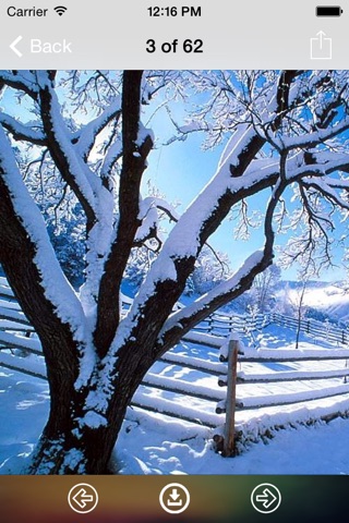 Winter Wallpaper: Best HD Wallpapers screenshot 3