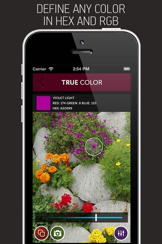 Color Vision Test Pro screenshot 2