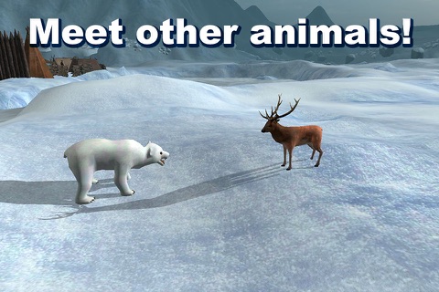 Polar Bear Survival Simulator 3D screenshot 3