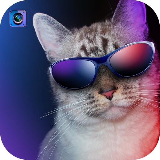 My Kitty Camera: Snap, Organize & Share your favorite Cat & Kitten photos! icon