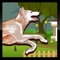 A Dog Run Adventure: Best Super Fun Doge Race Game Free