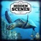 Hidden Scenes is a game similar to a jigsaw puzzle where you swap and flip the pieces to reveal the hidden picture