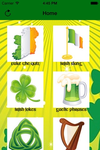 How Irish Are You screenshot 2