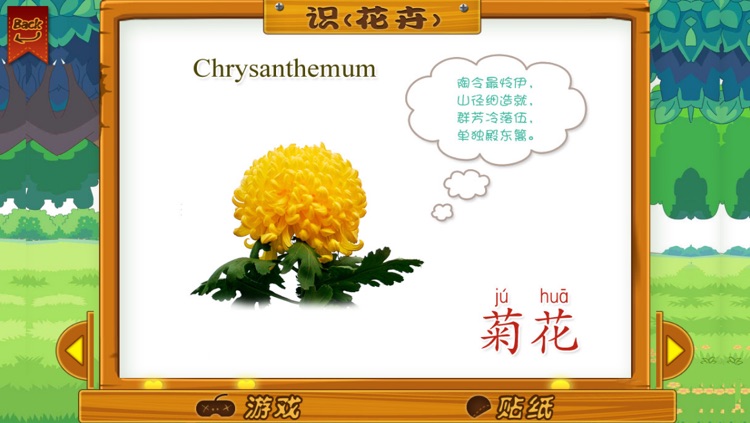 宝宝卡片-花卉大全