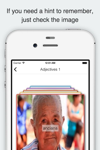 Spanish - English Flashcards & Vocabulary Trainer screenshot 4