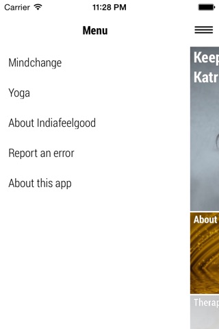 India Feelgood screenshot 3