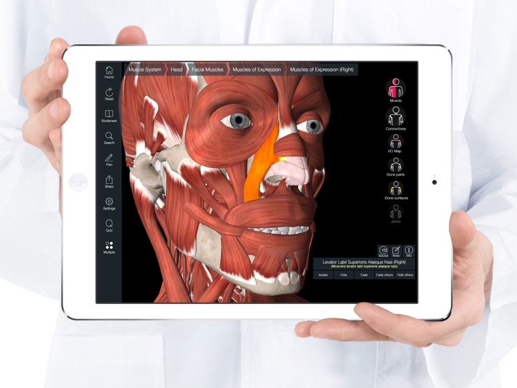 Essential Muscle + Skeleton Anatomy screenshot-0
