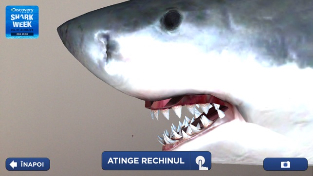 Shark Week(圖3)-速報App