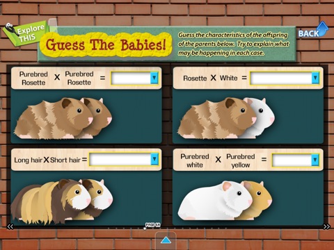 Heredity (School) screenshot 3