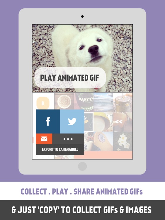 Pickle - Smart Clipper (WEB IMAGE, GIF & SCREENSHOT) for iPad