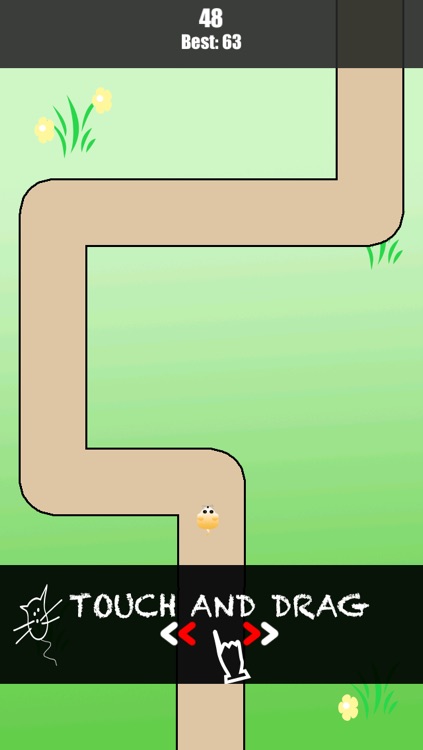 Active Hamster Running In Line - Stay On The Path Game screenshot-3