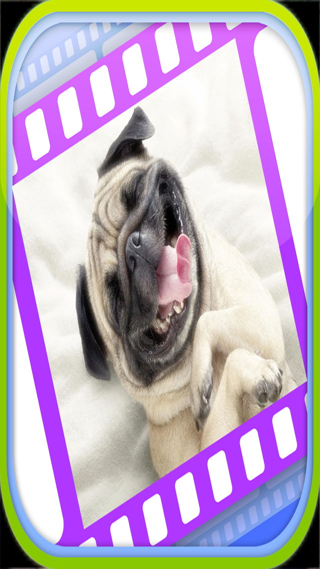 How to cancel & delete Funny Dog Videos - Funniest Moments from iphone & ipad 1