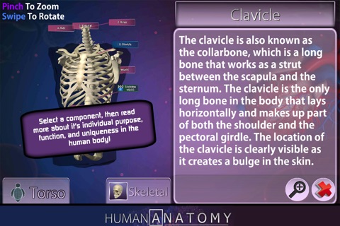 Popar Human Anatomy screenshot 4